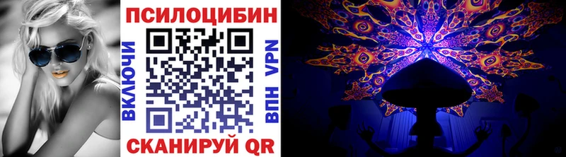 Псилоцибиновые грибы Cubensis  Алушта 