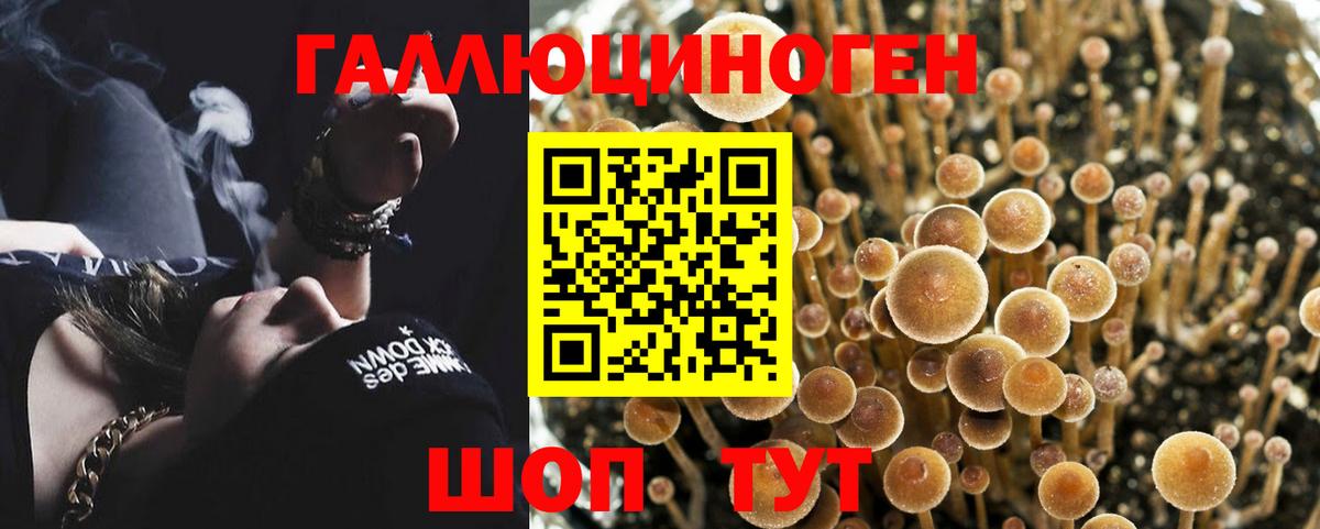 Псилоцибиновые грибы Magic Shrooms  Галлюциногенные грибы мицелий  Вход с VPN  Алушта 