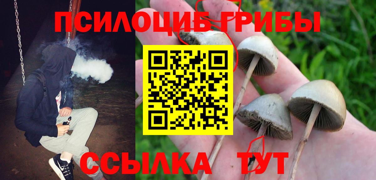 Псилоцибиновые грибы Magic Shrooms  Алушта  Галлюциногенные грибы Cubensis 
