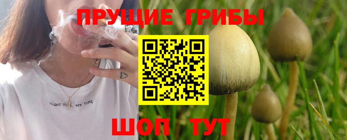 Галлюциногенные грибы мухоморы Алушта